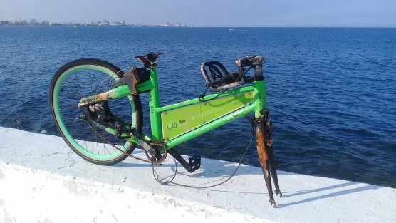 En Boca del Río, una bicicleta de la empresa VBike, apareció destruida en el bulevar Ávila Camacho. El vehículo tiene un valor que supera los 30 mil pesos por la tecnología con la que cuenta.