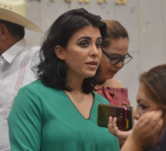 Al contar con un integrante, el Partido Verde Ecologista de México (PVEM) en voz de la diputada Andrea de Guadalupe Yunes Yunes, no forma Grupo Legislativo.
