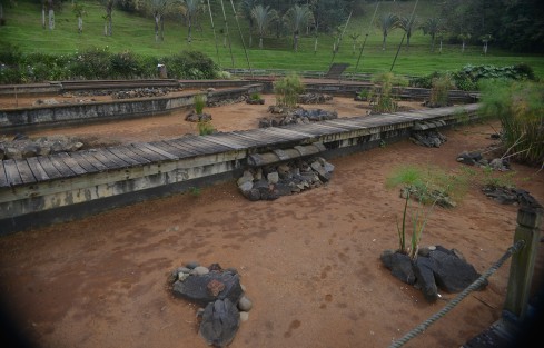 Desde hace ya varios meses  se trabaja en un proyecto de saneamiento para limpiar uno de los espejos de agua  del Campus para la Cultura, las Artes y el Deporte UV Xalapa, por tal motivo se vació por completo, debido a que hace mas de un año se registró la ruptura en una de las tuberías que lo alimentaban, lo que generaba que el agua se saliera por un orificio.  