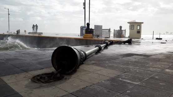 Afectaciones por las de viento con rachas de hasta 130 k/h, se registran en la conurbación Veracruz -Boca del Río. Derribo de luminarias y árboles, entre otras. 