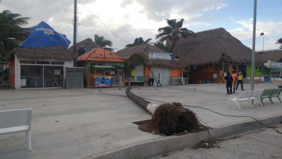 Afectaciones por las de viento con rachas de hasta 130 k/h, se registran en la conurbación Veracruz -Boca del Río. Derribo de luminarias y árboles, entre otras. 