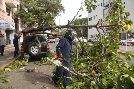 Afectaciones por las de viento con rachas de hasta 130 k/h, se registran en la conurbación Veracruz -Boca del Río. Derribo de luminarias y árboles, entre otras. 