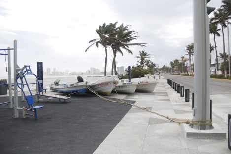 Afectaciones por las de viento con rachas de hasta 130 k/h, se registran en la conurbación Veracruz -Boca del Río. Derribo de luminarias y árboles, entre otras. 