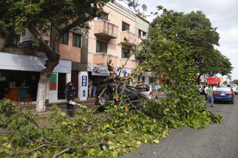 Afectaciones por las de viento con rachas de hasta 130 k/h, se registran en la conurbación Veracruz -Boca del Río. Derribo de luminarias y árboles, entre otras. 