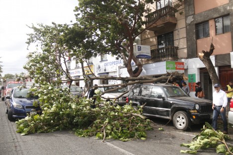 Afectaciones por las de viento con rachas de hasta 130 k/h, se registran en la conurbación Veracruz -Boca del Río. Derribo de luminarias y árboles, entre otras. 