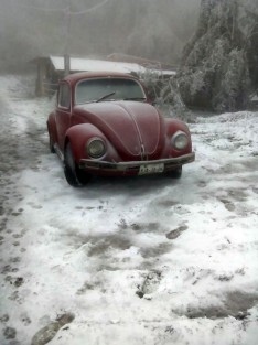 Así amanecieron varios potreros en el municipio de Mihuatlán, Ver., debido a la caída de nieve. 
