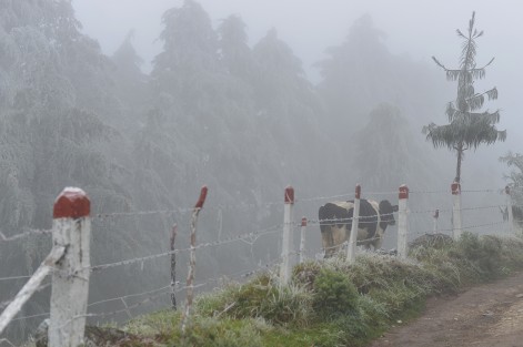 La madrugada de este miércoles, al igual que en varios municipios de Veracruz, en la zona de Las Vigas de Ramírez hubo nevadas y caída de aguanieve debido a el paso del Frente Frío número 10. 