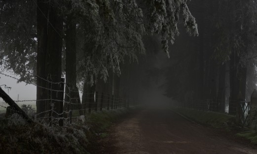 La madrugada de este miércoles, al igual que en varios municipios de Veracruz, en la zona de Las Vigas de Ramírez hubo nevadas y caída de aguanieve debido a el paso del Frente Frío número 10. 