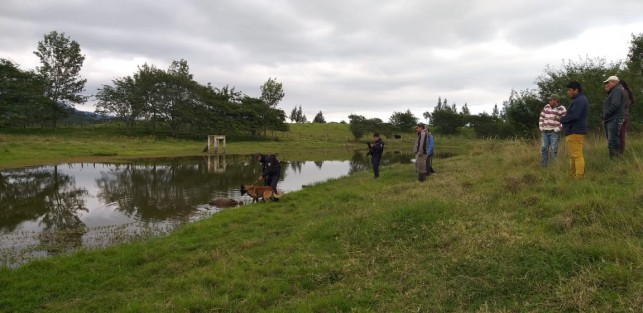 El cuerpo de la pequeña Amiyatzy, de10 años, desaparecida hace unos días, fue hallado este viernes en un costal de café a la orilla de un arroyo en la comunidad de Mafafas,municipio de Tepetlán.