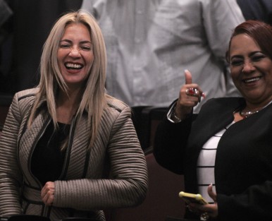 Diputada Ana Miriam Ferraez fungirá en la Comisión de Igualdad de Género y Administración y Presupuesto, y como presidenta en Protección Civil.  