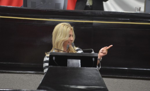 Dimes y diretes entre la diputada Ana Miriam Ferráez y  Josefina Gamboa al discutir el exhorto para que se retire la invitación a Nicolás Maduro a la toma de posesión de AMLO.  