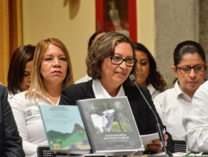 Con apenas algunas legisladores presentes, se llevó a cabo este sábado por la tarde la comparecencia de la titular de SEDEMA, Mariana Aguilar López. 