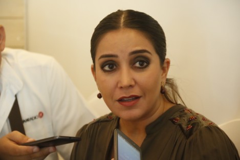 Anilú Ingram Vallines, diputada federal, aseguró que apoyará y dará seguimiento la demanda de los empresarios que exigen una reducción del costo de las tarifas de energía eléctrica.