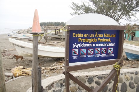 La Isla de Enmedio podría reabrirse a los visitantes este 30 de noviembre. El Área Natural Protegida cumple más de 80 días cerrada debido a una fiesta particular en la Isla Salmedina. Los pescadores de Anton Lizardo tienen perdidas por más de mil pesos diarios. 
