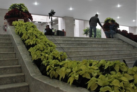 Embellecen el Palacio Legislativo para la toma de protesta al nuevo gobernador, o despedir al actual... o por temporada navideña. 