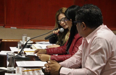 Compareció ante diputados el Secretario de Gobierno, Rogelio Franco Castán.  
