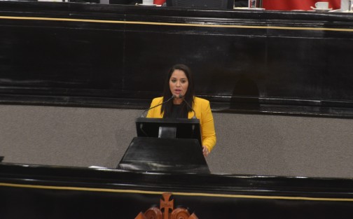 La diputada Brianda Kristel Hernández Topete, del PRD, otra de las agradecidas con Miguel Ángel Yunes Linares, por la alianza gracias a la cual llegó al gobierno, antes de que Jesús Mancha les hiciera el feo. 