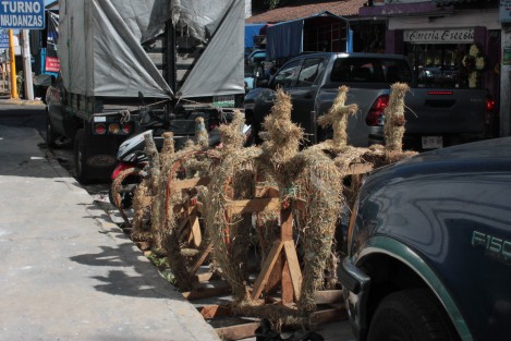 Florerías de Xalapa se preparan ante la proximidad de la fiesta de la Virgen de Guadalupe, una época de grandes ventas para este tipo de comercios.