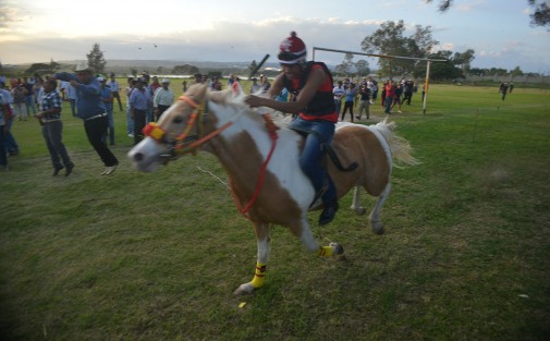 En el campo de futbol de Miradores municipio de Emiliano Zapata a solo 20 minutos de la ciudad de Xalapa, se realizaron unas carreras de caballos con el propósito de juntar recursos para las fiestas de la Virgen de Guadalupe, a celebrase el próximo 12 de Diciembre. 