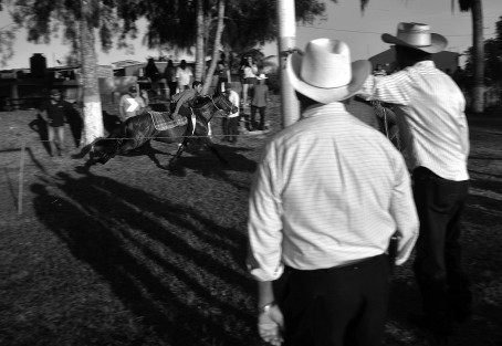 En el campo de futbol de Miradores municipio de Emiliano Zapata a solo 20 minutos de la ciudad de Xalapa, se realizaron unas carreras de caballos con el propósito de juntar recursos para las fiestas de la Virgen de Guadalupe, a celebrase el próximo 12 de Diciembre. 