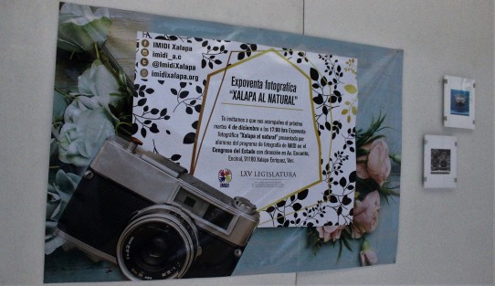 Reinician en el Congreso del Estado las actividadesde difusión y promoción de la cultura, con la inauguración de la expo venta fotográfica <em>Xalapa al natural</em>, resultado del trabajo de los alumnos del programa de formación profesional en fotografía digital para personas con síndrome de Down y que impartió el Instituto Mexicano de Investigación y Desarrollo Integral (IMIDI), en esta ciudad capital.  
