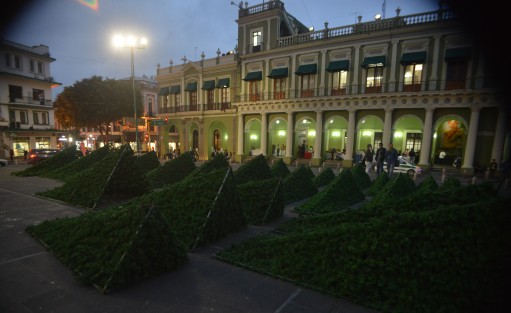 Luego de pasados los eventos políticos más recientes, ya se coloca el árbol navideño en Plaza Lerdo.  