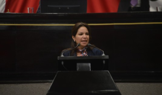 La diputada Mónica Robles Barajas, del Grupo Legislativo de Morena, subrayó que esta reforma es para cumplir con el procedimiento constitucional y llenar un vacío legal relativo a la atribución del Poder Legislativo respecto a la remoción del Fiscal, toda vez que modificaciones anteriores solo aludían al proceso de elección y designación.