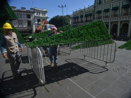 Trabajadores del Ayuntamiento le dan los últimos toques a el árbol que es colocado en la plaza Lerdo de Xalapa. A ver de qué color son este año los adornos.