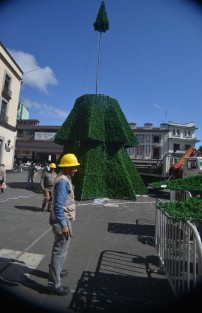 Trabajadores del Ayuntamiento le dan los últimos toques a el árbol que es colocado en la plaza Lerdo de Xalapa. A ver de qué color son este año los adornos.