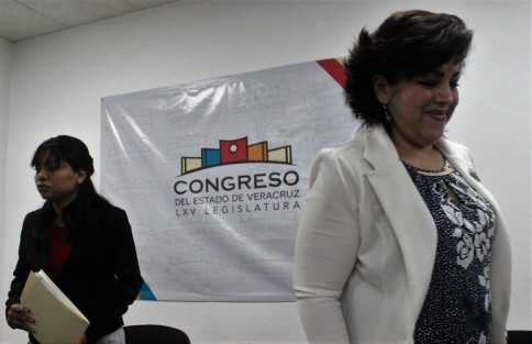 Las diputadas Elizabeth Cervantes de la Cruz y Rosalinda Galindo Silva,integrantes de la Comisión Especial para el Seguimiento a la Problemática de la Desaparición de Personas en el Estado de Veracruz, dieron a conocer la convocatoria para la elección de los 13 integrantes del Consejo Estatal Ciudadano.  