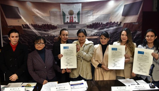 En el marco de la conmemoración de los 70 años de la Declaración Universal de los Derechos Humanos, las Comisiones Permanentes Para la Igualdad de Género y la de Derechos Humanos y Atención a Grupos Vulnerables, presididas, respectivamente, por las diputadas Ivonne Trujillo Ortiz y Brianda Kristel Hernández Topete, llevaron a cabo la firma de <em>GENDEH 50/50: Agenda por la Sororidad Veracruzana</em> documento que representa un pacto para avanzar hacia una sociedad incluyente, plural y democrática.