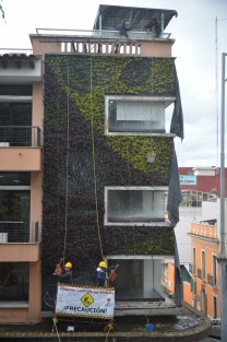Continúan los trabajos de restauración del jardín vertical en la biblioteca Carlos Fuentes de Xalapa. 