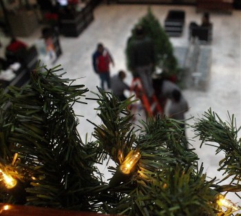 La comercialización de la Navidad ha creado la percepción de que el colocar adornos de la temporada en estas fechas sea tardío, cuando es hasta dentro de una semana cuando las festividades inician con la primer posada.  En el Congreso ya se ponen sus moños y foquitos. 