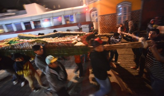 Al igual que en todo el estado, en el municipio de Teocelo se llevan a cabo varias peregrinaciones  y festejos a la Virgen de Guadalupe. En esta ocasión el alcalde Mario A. Chama Díaz  tuvo a bien participar en una junto a los teocelanos.