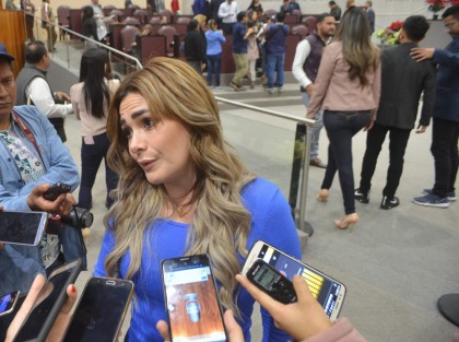 La diputada María Josefina Gamboa y su compañero de bancada Sergio Hernández, denunciaron el supuesto acoso que ha hecho el Secretario de Gobierno a algunos de los diputados panistas.