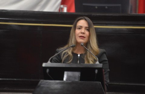 A nombre de la fracción legislativa del Partido Acción Nacional (PAN), la diputada Montserrat Ortega Ruiz, presentó la iniciativa de Ley Especial de Adopciones Anticipadas, que busca establecer diversas opciones para mujeres embarazadas que enfrentan alguna situación de vulnerabilidad o violencia.