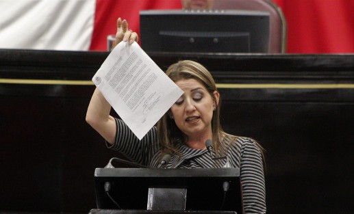 En representación de la fracción legislativa del Partido Acción Nacional (PAN), la diputada Judith Pineda Andrade, propuso que el próximo Presupuesto de Egresos destine recursos suficientes para el campo y mantenimiento de carreteras.  