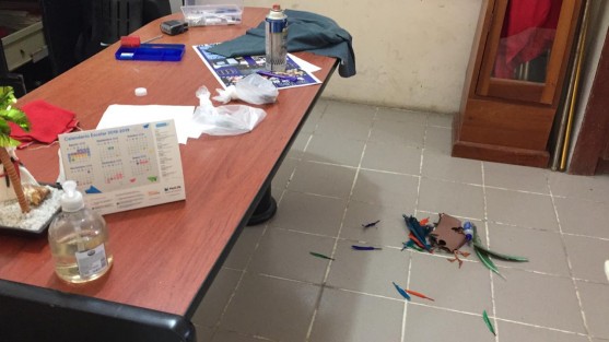 Roban y vandalizan la Escuela Primaria <em>Héroes del 22 de Abril</em>, ubicada en la colonia Las Amapolas, de la ciudad de Veracruz. En este año, es la segunda vez que entran a saquear este plantel educativo.  