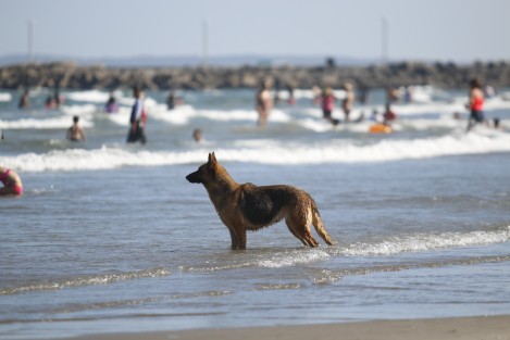 Turistas aprovechan la temporada vacacional para refrescarse en la Playa Santa Ana.