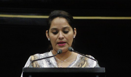 Aspectos de la Décima Sesión Ordinaria de la LXV Legislatura de Veracruz.