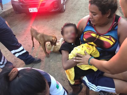 El niño Pablo Quintero perdería el ojo izquierdo a consecuencia de la explosión de un cuete. El pequeño encontró el explosivo y se acercó a encenderlo a un fogón, pero este le explotó en la cara. Los hechos ocurrieron en la colonia Las Flores de El Tejar, municipio de Medellín de Bravo.