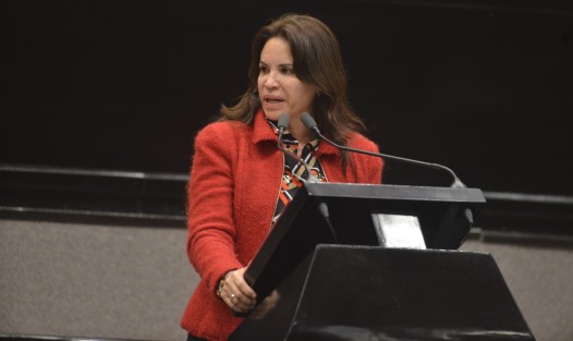Pide la diputada Mónica Robles Barajas a la Sefiplan revisar el presupuesto destinado y elaborar un anexo a fin de etiquetar recursos para implementar políticas públicas en materia de violencia de género.
