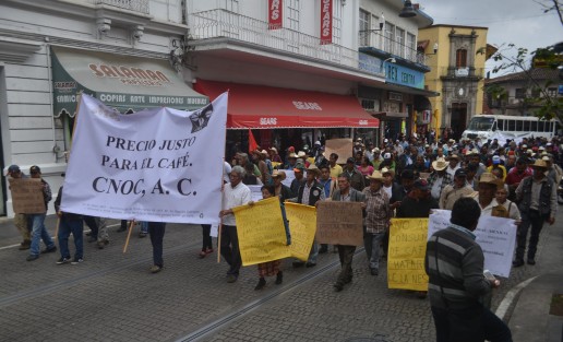 Dijeron que de no haber apoyo de las autoridades, convocarían a una marcha nacional.  