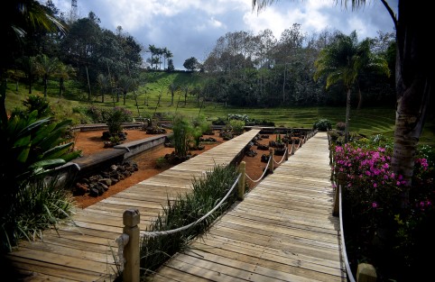Así lucen los trabajos de rehabilitación del lago del Campus para la Cultura, las Artes y el Deporte de la UV,  y sus alrededores. Están colocando tubería nueva y cambiando algunas piedras. trabajadores  del lugar ignoran cuándo será llenado nuevamente. 