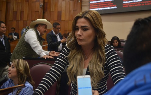 La diputada Josefina Gamboa pide al Ejecutivo Estatal otorgue los recursos necesarios para la conclusión de obras en el municipio de Veracruz, mismas que inició el año pasado la administración de Yunes Linares y no concluyó.  