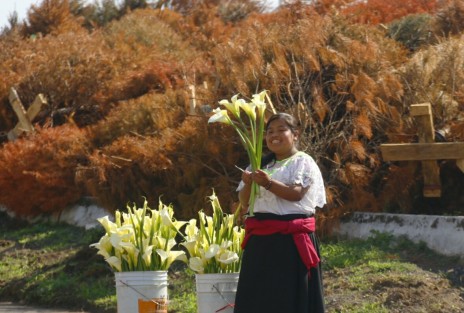 Una vendedora de flores oferta alcatraces a lado de un centro de acopio en la ciudad de Boca del Río, donde se espera recolectar 15 mil pinos de navidad este año. Las flores, al igual que los árboles, adornarán los hogares por unos días, pero después de un tiempo también serán desechados.  