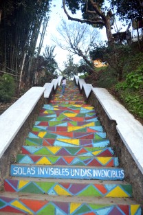 Habitantes de la calle Aguas de Xalapa, de colonia Niños Héroes, demuestran una vez más que unidos se puede lograr cosas. Fue así como se les ocurrió pintar la escalera que sube a esta colonia, y así evitar que se junten los malvivientes y la vez darles un mensaje.