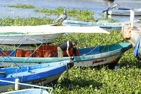 El paso del frente frío 29 dejó pérdidas económicas en el sector pesquero. Este día, las condiciones climáticas mejoraron y los pescadores pudieron realizar sus actividades sin embargo, hubo pocos peces.  
