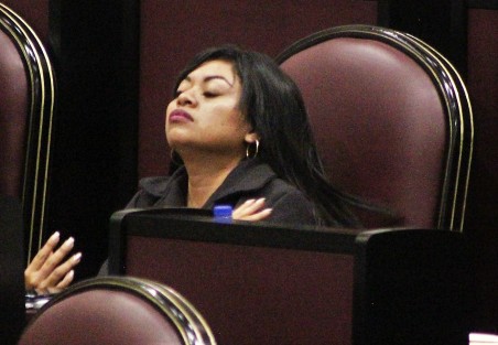 Decimatercera Sesión Ordinaria del Primer Período de Sesiones Ordinarias
Primer Año de Ejercicio Constitucional.
