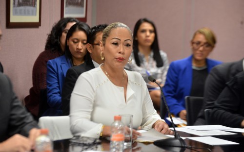 La presidenta de la CEDHV, Namiko Matzumoto Benítez, informó que la mayoría de las atenciones que el organismo a su cargo brindó durante 2018, fueron referentes al tema de personas desaparecidas. 
